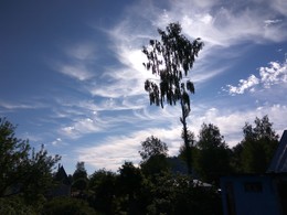 Дачное небо / Почти ясное небо украсилось кружевами лёгких облачков...