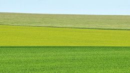 Одиночный кадр / /\/\/\/\