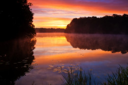 В лучах восходящего солнца / Калининградская область, Школьный пруд.