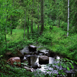 источник / istochnik