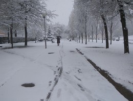 Одиночный кадр / Запоздалый снег...