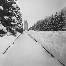 Перспективы зимы / Ilford XP2 Super 400