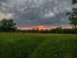 Июльский закат / Заход солнца, лесная поляна, июль 2017.