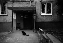ОВ / [img]https://farm5.staticflickr.com/4240/35780127386_3684b17067_b.jpg[/img]

[img]https://farm5.staticflickr.com/4213/35780110076_20a05a0394_b.jpg[/img]

[img]https://farm5.staticflickr.com/4232/35434698910_6a29ff3021_b.jpg[/img]
