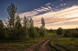 Мазки лета / Средняя полоса