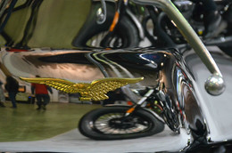 Птица Мото Гуцци / Мото Гуцци - марка итальянского мотоцикла.