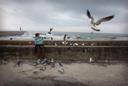Контакт / Гуляли по набережной Прайя-де-Матозиньюш в Порту, жена решила покормить птиц, у которых тут видимо кормушка, и вот, что получилось)