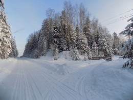 Зима в Алексино / Смоленская область