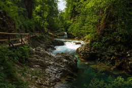 Ущелье Винтгар в Словении / Вода очень красивого цвета и прозрачная, как стекло, видны дно и рыбы