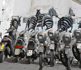 Полосатая пятница / Зебры - граффити, мотоциклы - натура