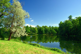У озера / Дворцовый парк в Гатчине