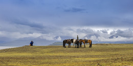 монгол / путешествие по Монголии. 
июль 2017.