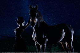 Silent night / Фотосессии с лошадьми