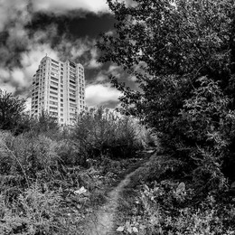 Тропинка к дому / Samyang 8mm/3.5