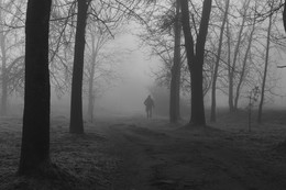 Свой путь / Человек проходит в туманном парке.