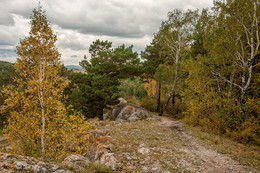 По тропинке с осенью / Природа.