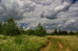 Дорога в лес / ***