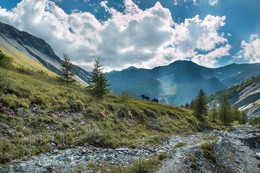 Ярлу. Долина эдельвейсов. / Алтай.