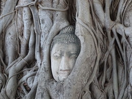 Дух времени / Бывшая столица Тайланда Аюттая. Будда, поднятый корнями из земли.