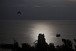 Кофейное настроение / Утро. Галилейское море (Кинерет, Тивериадское или Генисаретское озеро)
Израиль, Тверия