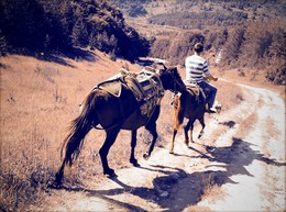 Life in the Wild / Жизнь в горах. Родопы, Болгария.