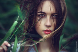 Таиса / фотосессия с девушкой в камышах