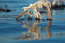 Вода, иней, лёд... / ***