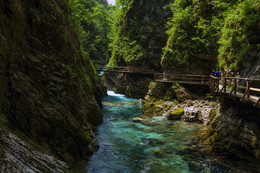 ВИНТГАР / По каменистому дну ущелья протекает чистейшая река Радовна. Вдоль ущелья проложены узкие подвесные деревянные мостики. Территория ущелья Винтгар входит в Национальный парк Словении и природа здесь первозданна и нетронута.