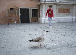 &nbsp; / Описание