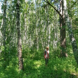 Вышелпогулять / городской парк.