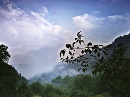 Туманное утро / По Болгарии...