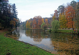 в парке / парк москва царицино