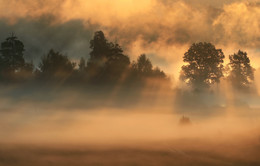 В тумане золотом / утро, туман и солнце