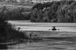 Браконьеры вечерние / ***