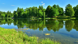 Без названия / Без названия