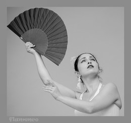 Фламенко / Фламенко
