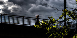 Мост / Девушка идущая по мосту в ветреный день.