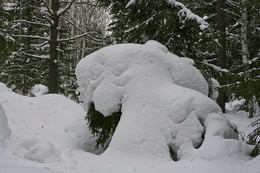 Природа-лучший художник. / Ищу в лесу снежные скульптуры, похожие на человеческие образы, животных, и сказочных героев.