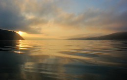 Днестровский рассвет / После жары наступили прохладные деньки. Река "дымит" на рассвете...
Хмельницкая и Черновицкая области. Много помидор, кизила, абрикос))