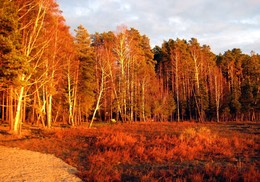 Конец сезона / Щедрое золото осени.