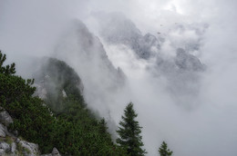 Кельштайн встречает нас туманом... / На горе Кельштайн, собственно и расположено пресловутое Орлиное гнездо, чайный домик Гитлера.
Альпы, Берхтесгаден, Верхняя Бавария.
http://www.youtube.com/watch?v=xhJTMeytTWw