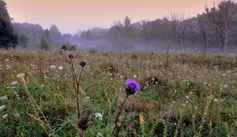 Туман утренний лёг на травы / Туман утренний лёг на травы
