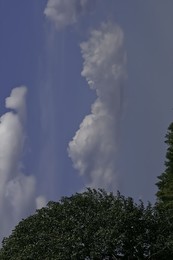 Человеческие головы в облаках РИСУЕТ ПРИРОДА ВЕТРОМ / снимаю облака