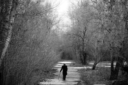 Одиночество не в сети / Осень