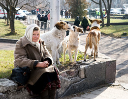 Одиночество не в сети / ***