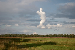 Прохожий. / Вот такое облако я увидел несколько лет назад.Тульская обл.