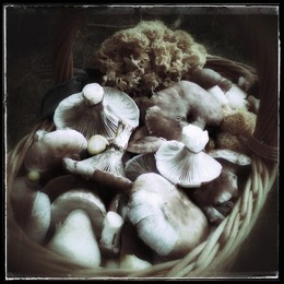 про осень / про осень