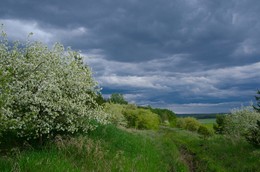 Весна / Уральская весна