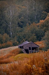Заброшенный дом осенью / Московская область