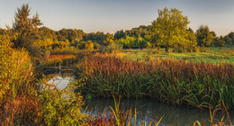 Сентябрьское утро / http://www.youtube.com/watch?v=fRDJQAb8ilU